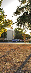San Jose