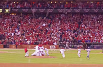 2011 In Pictures